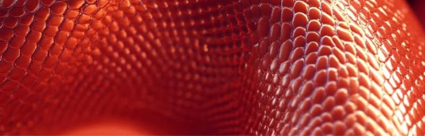 Page hero header cover image